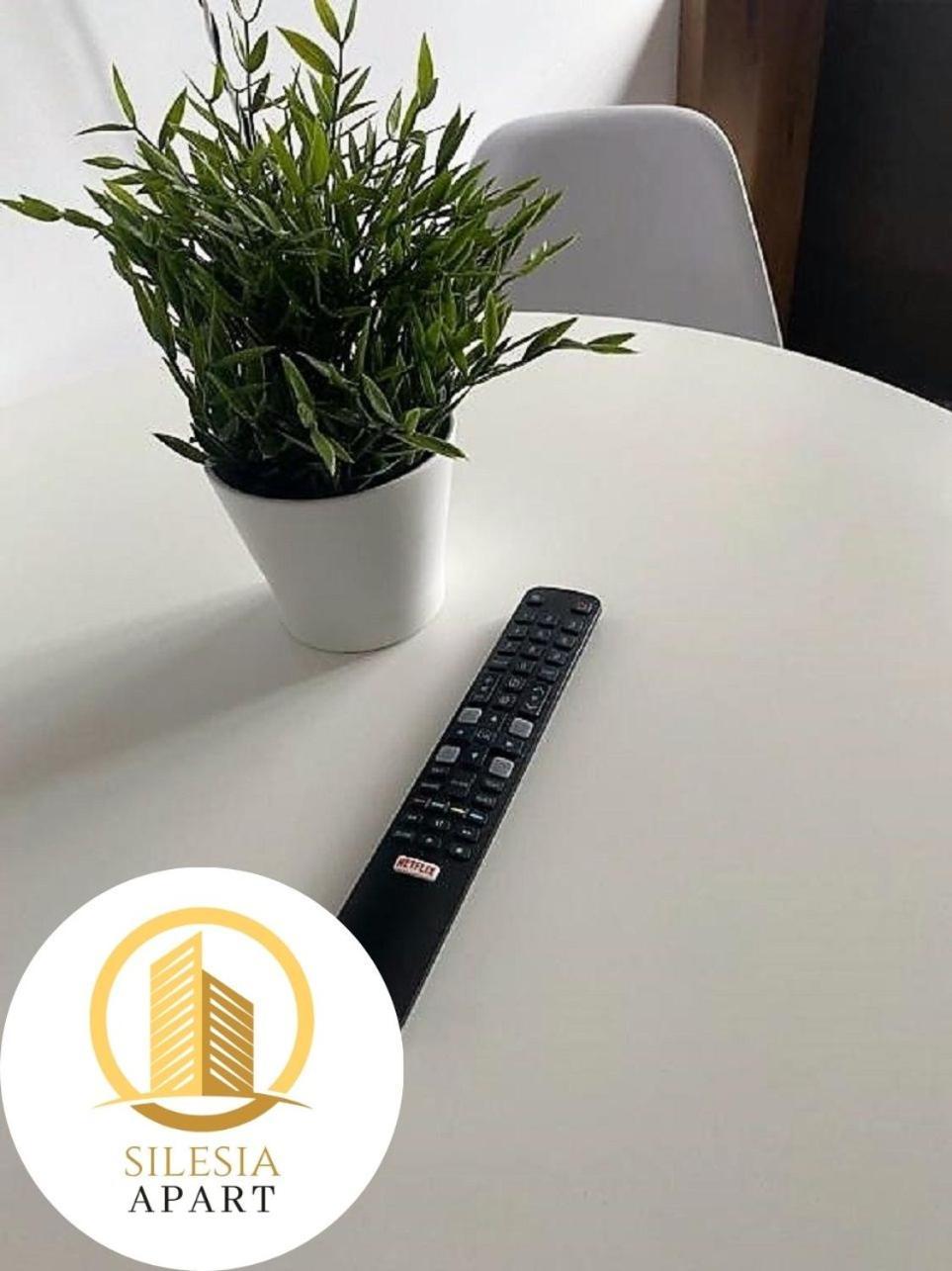 Apartament Ceglany Тихи Екстер'єр фото